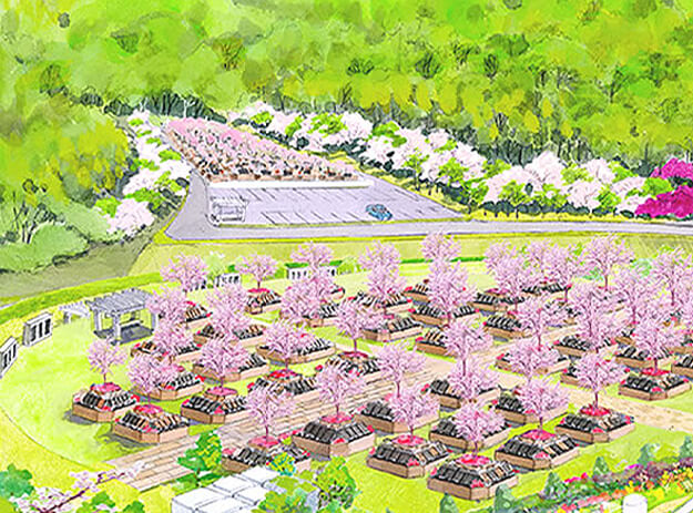 Ảnh: reien-shizuoka.com